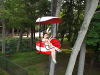 pictures/pic11.jpg