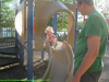 pictures/pic7.jpg