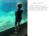 pictures/pic24.jpg