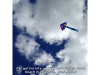 pictures/pic13.jpg
