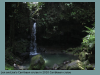 pictures/pic10.jpg