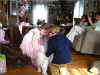 pictures/pic21.jpg
