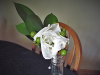 pictures/pic12.jpg