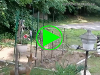 pictures/mov1.jpg