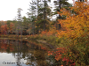 pictures/pic22.jpg