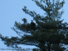 pictures/pic6.jpg