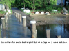 pictures/pic24.jpg