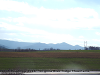 pictures/pic20.jpg
