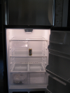 pictures/pic10.jpg