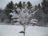 pictures/pic19.jpg