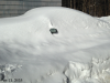 pictures/pic20.jpg