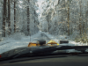 pictures/pic6.jpg
