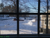 pictures/pic8.jpg